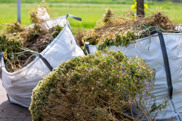 Best Moving and Downsizing Cleanouts  in Corning, AR