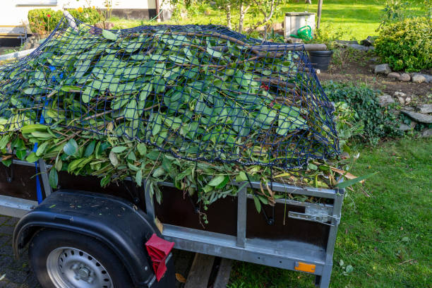 Best Same-Day Junk Removal Services  in Corning, AR